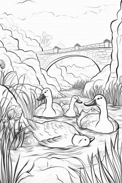 duck play water in canal