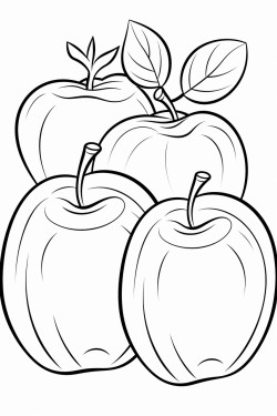 fruits
