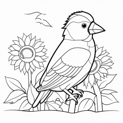 goldfinch on a sunflower