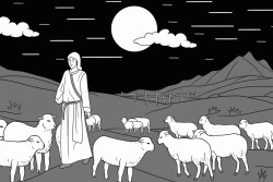 shepherds in field at night