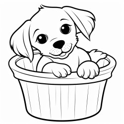 puppy sitting in a basket