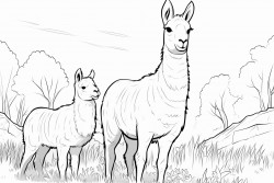 llamas eating grass