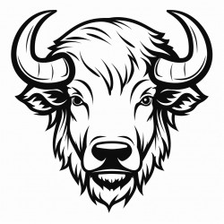 bison half face mask
