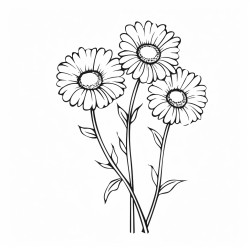 long stemmed daisy