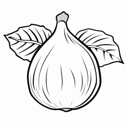 fig