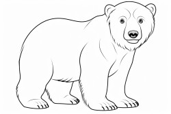 a young polar bear