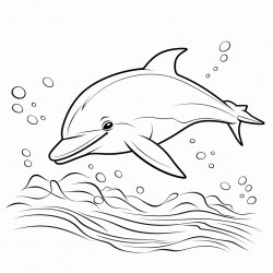 dolphin