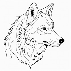 wolf