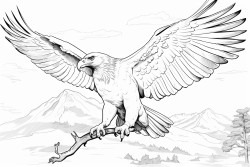 aigle  tte blanche
