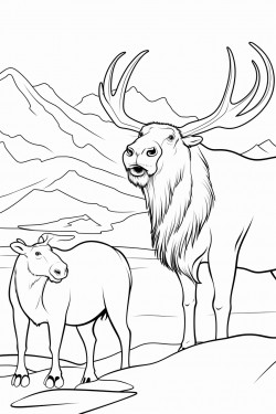 barking walrus looking at 2 deer