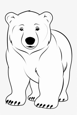 polar bear