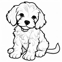 a female cockapoo puppy in the sitting position