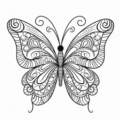 stylized butterfly silhouette
