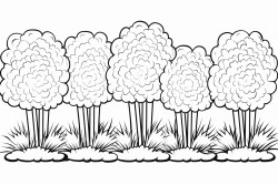 bushes