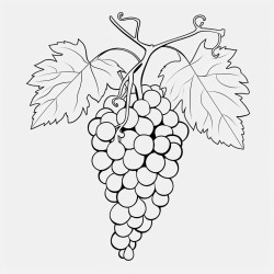 grapes
