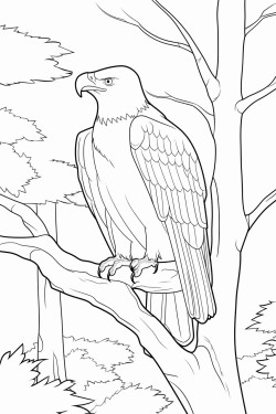 eagle and trees