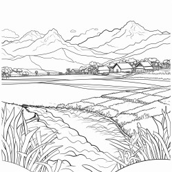 a rice field in reunion island