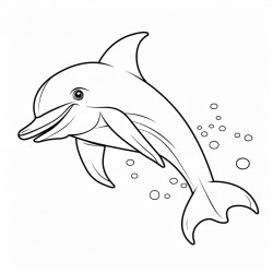 dolphin