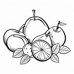 fruit