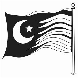 pakistani flag coloring page