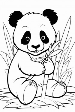 panda eating bamboo