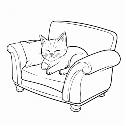 cat naps on sofa