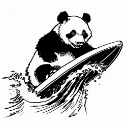 a panda surfing