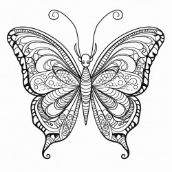 stylized butterfly silhouette