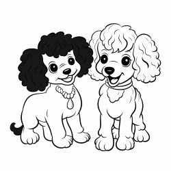 poodle and black kelpie playing