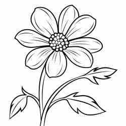 floss flower