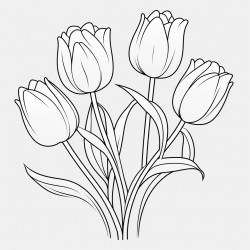 tulip