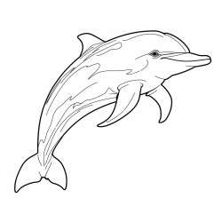 dolphin