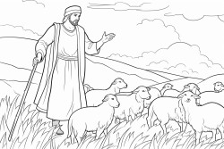 shepherds in field at night