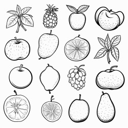 of the different fruits of the seasons