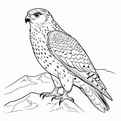 a cute icelandic gyrfalcon