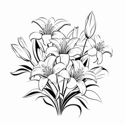 lilies roses border