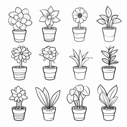 plants