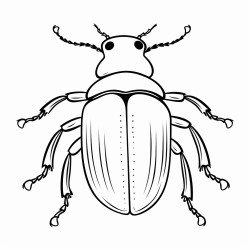 a cute beetle