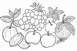 fruits and flowers