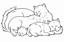 six kittens playing and sleeping