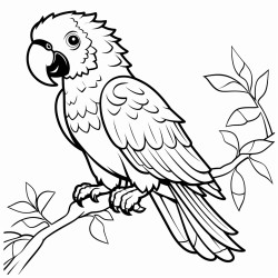 para colorear