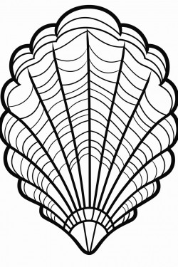 seashell with design