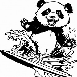 a panda surfing
