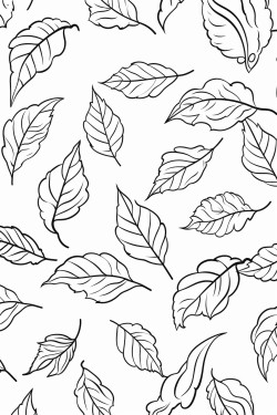 leaves falling from trees in autumn no shading