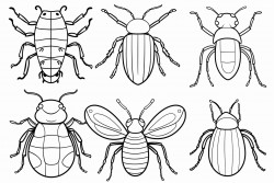 insects and bugs