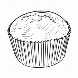 a muffin with clear spaces for coloring no background and minimal detail
