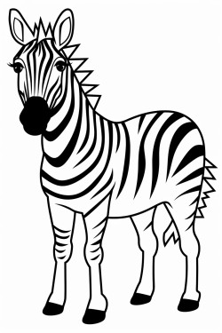 a simple zebra