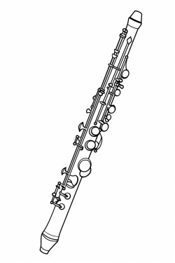 only instrument music flute