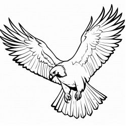 a vulture flying up high