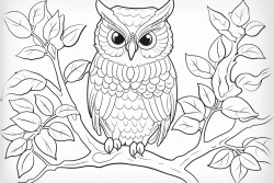 outline